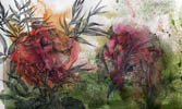 Dietrich Schuchardt Red Poppy (From My Garden) mixed media drawing